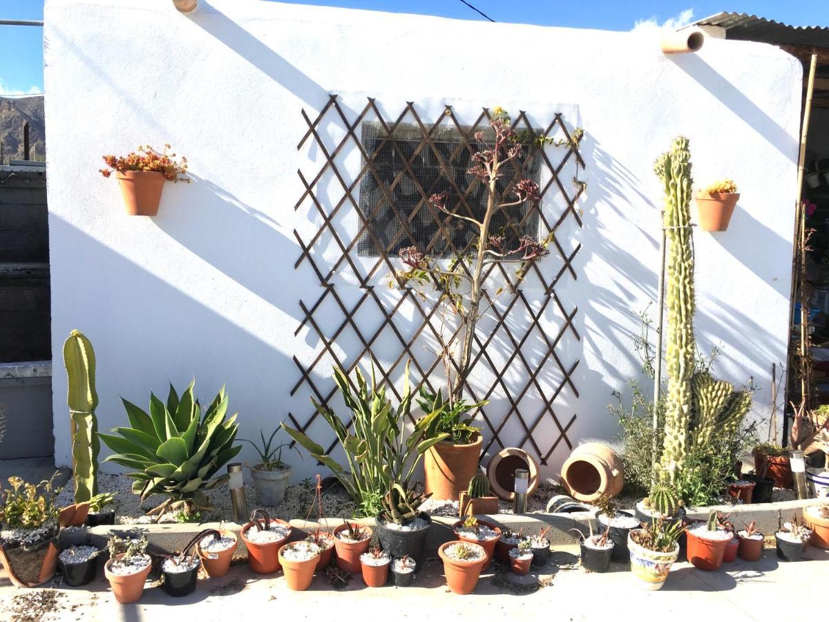 Villa Aurora Nijar Parque Natural Cabo Gata Buitenkant foto